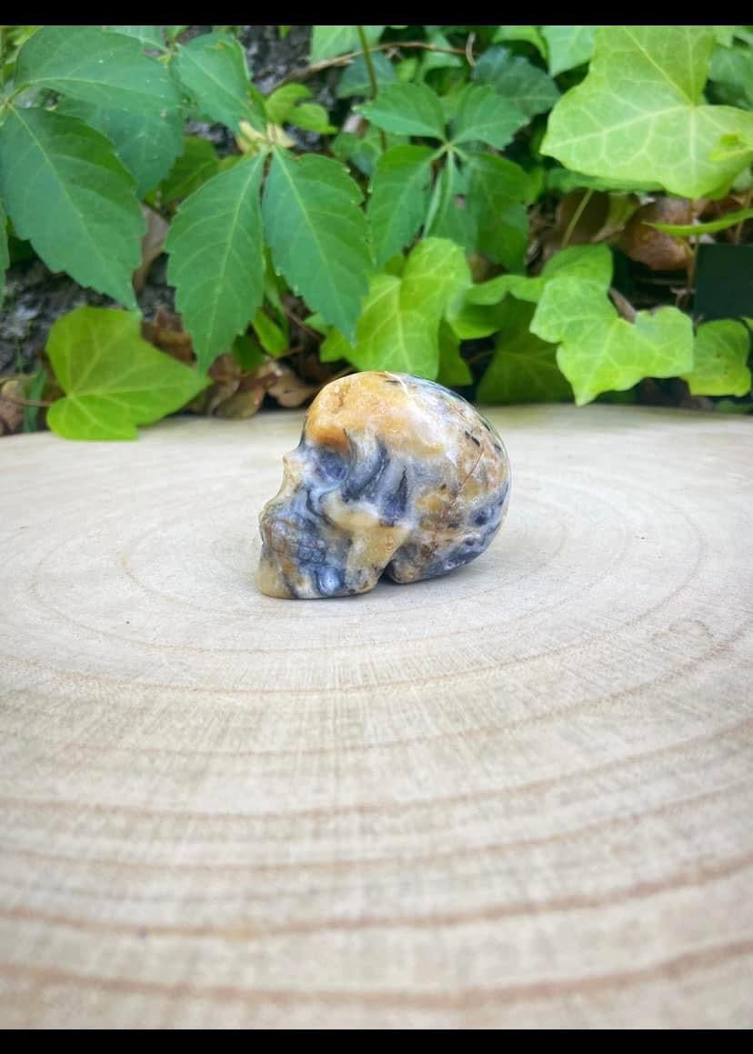 Jasper Skull