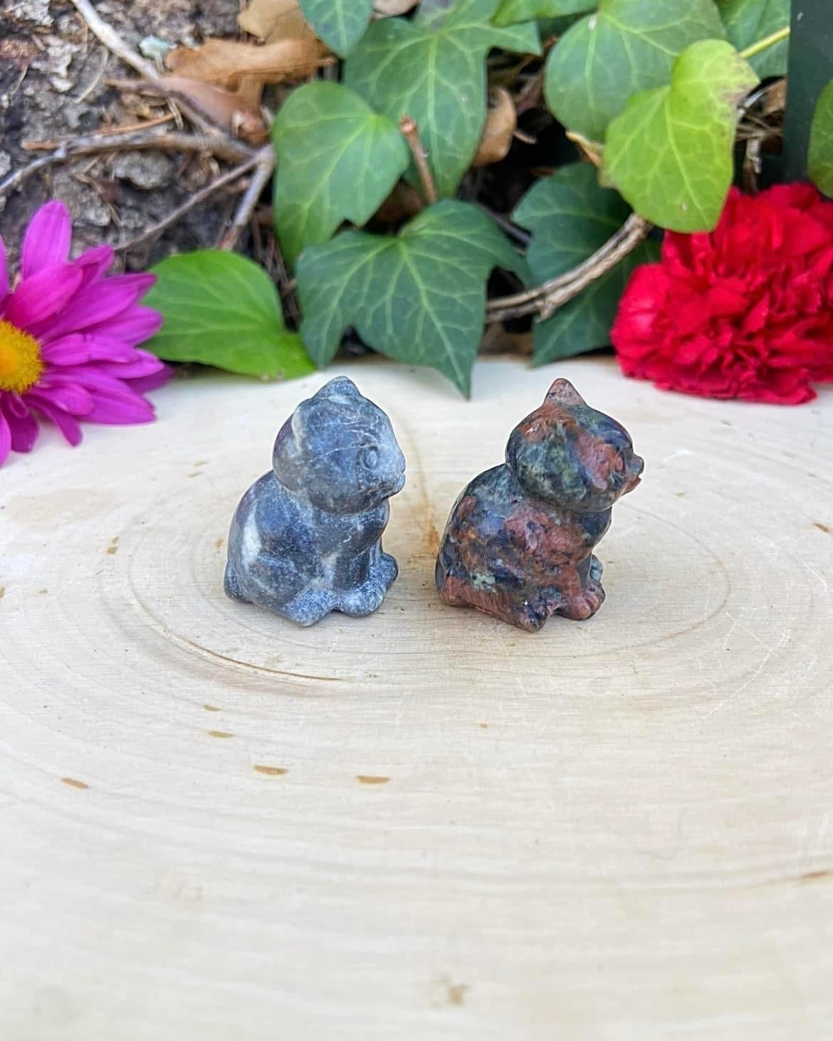 Mini Cats