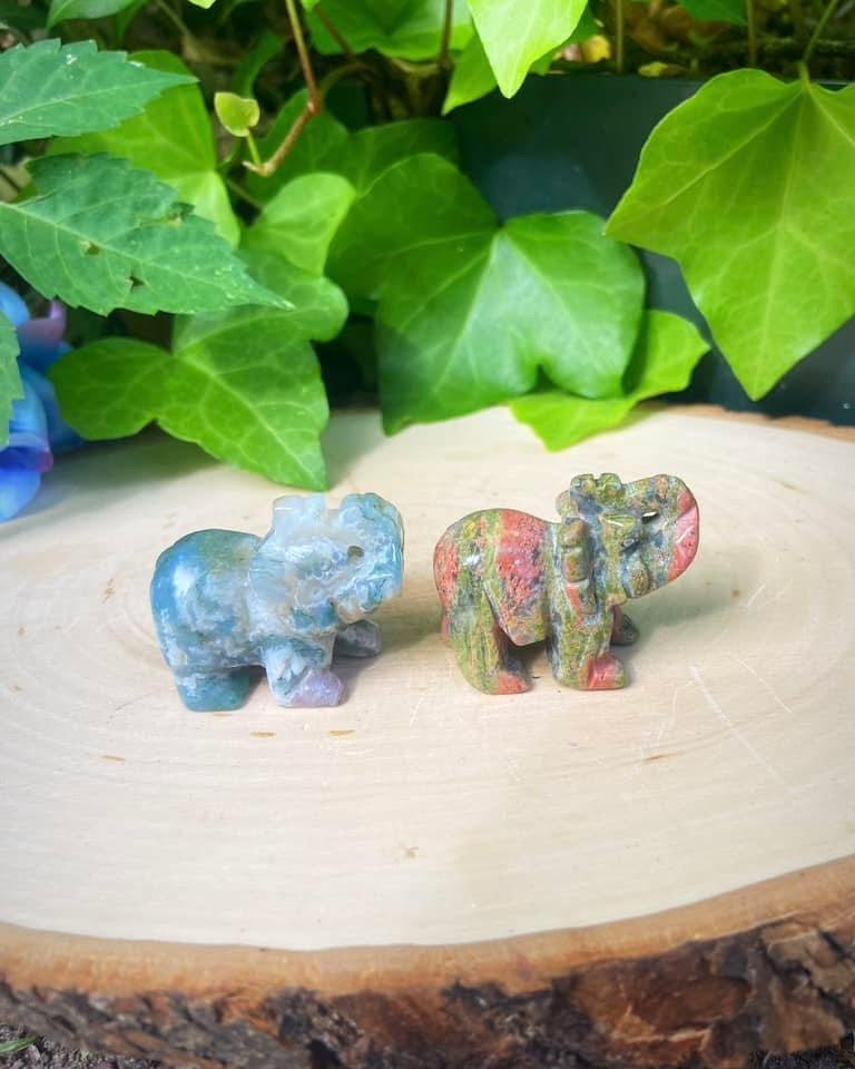 Elephants