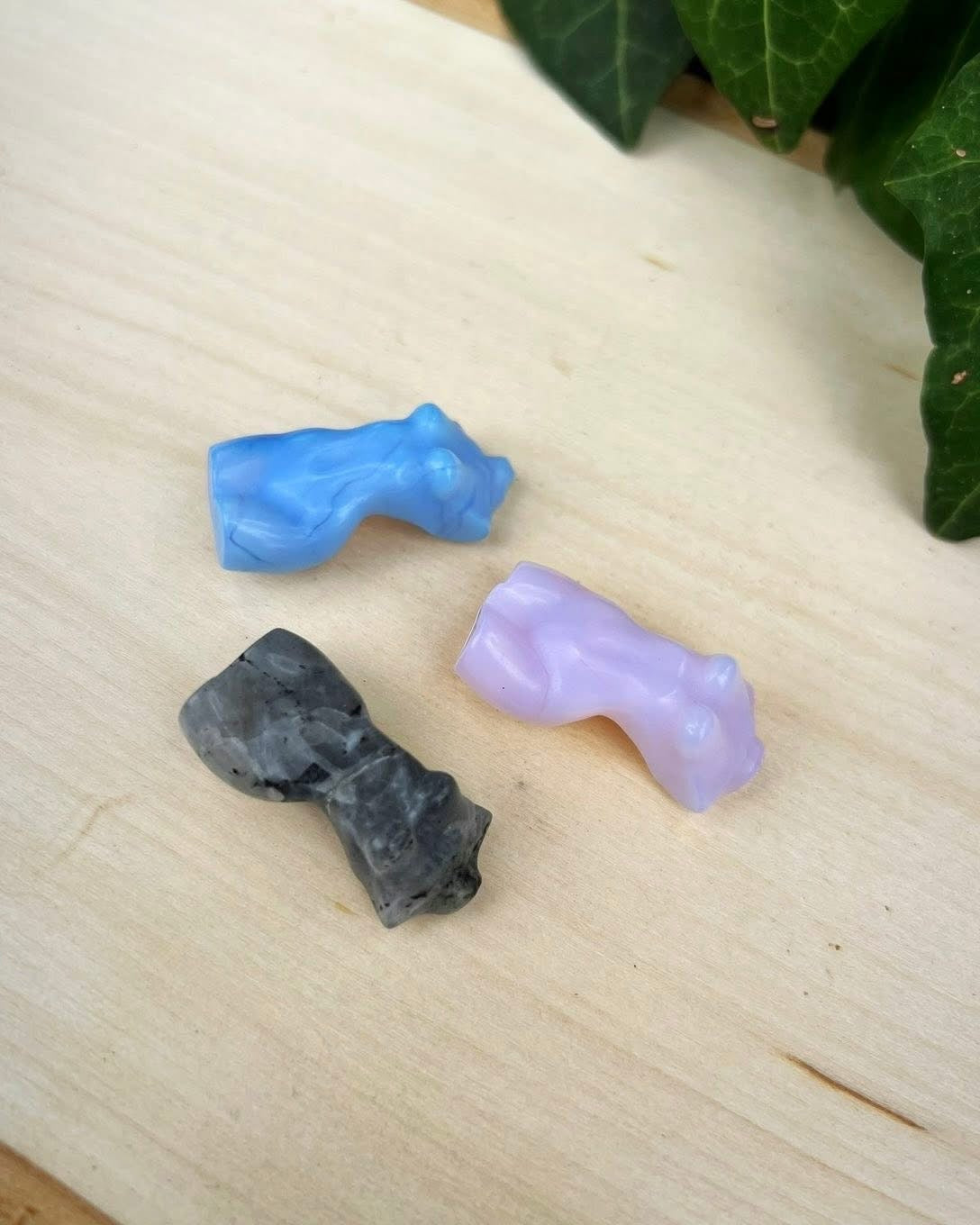 Female Torsos
