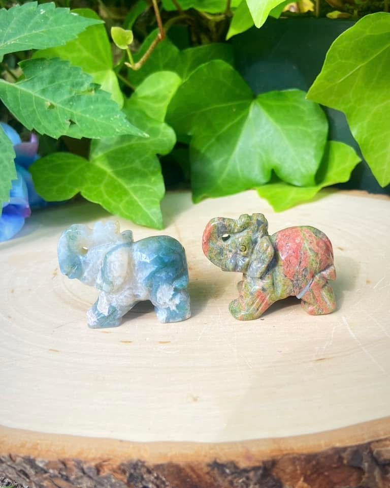 Elephants