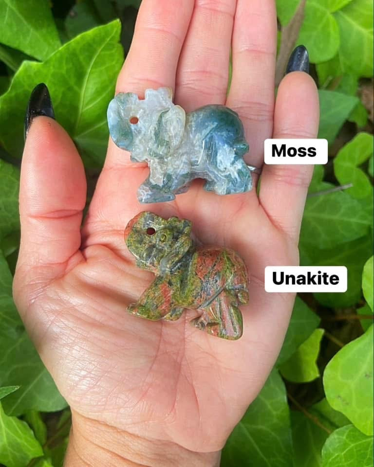 Elephants