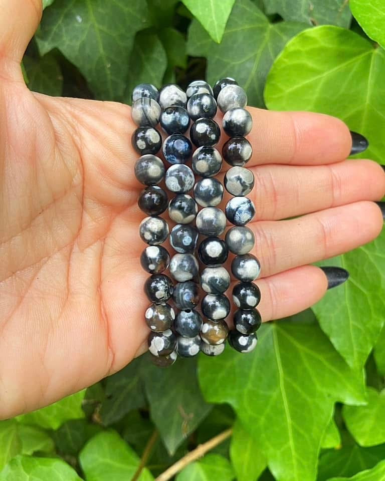 Orca Agate Bracelets 8mm