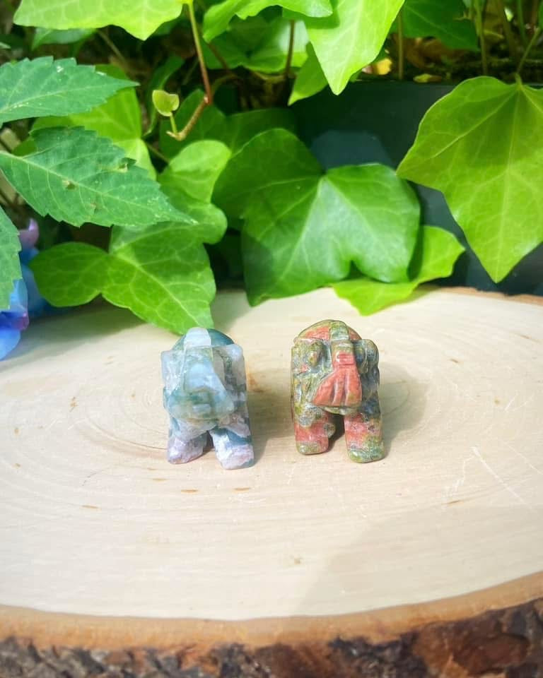 Elephants