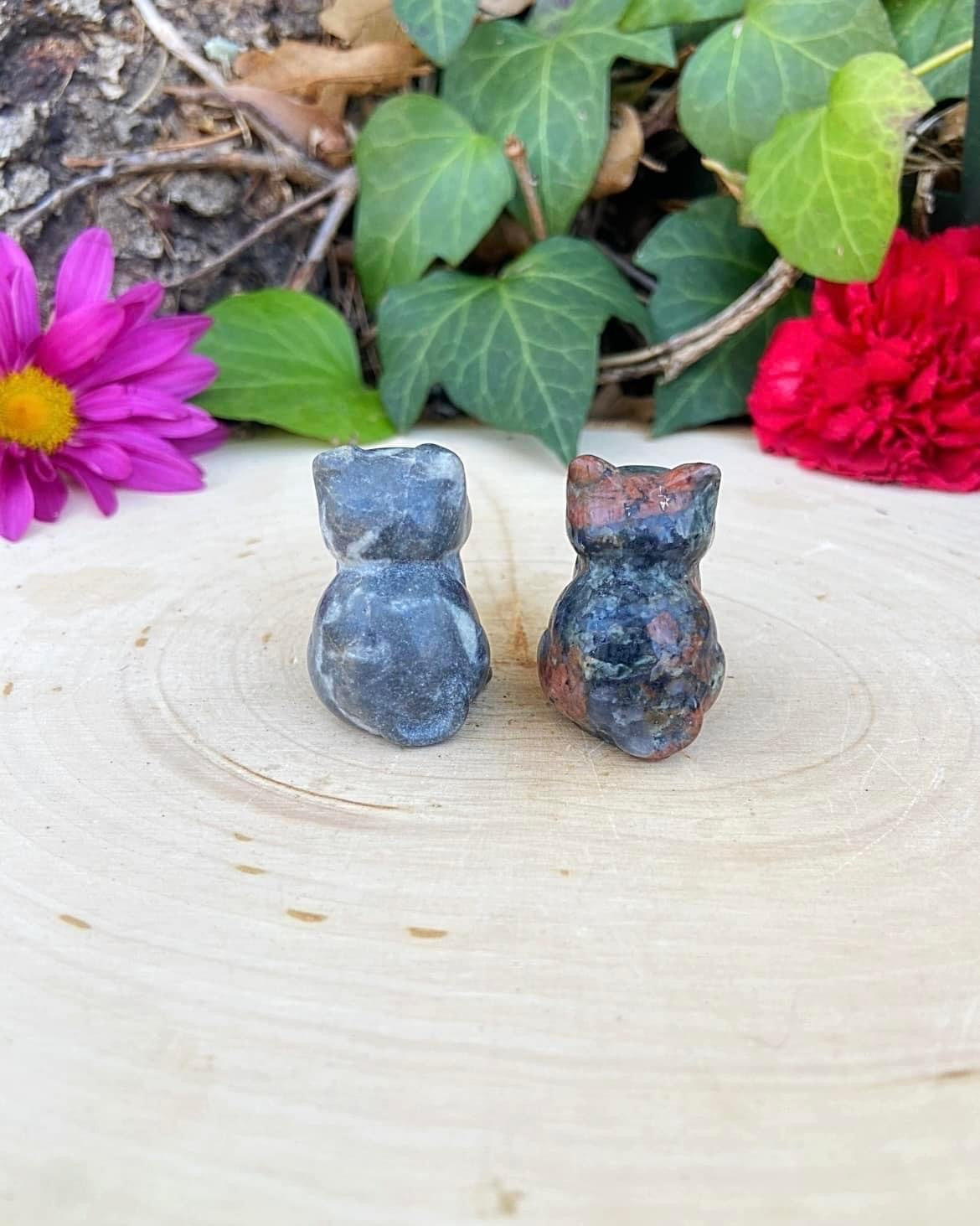 Mini Cats
