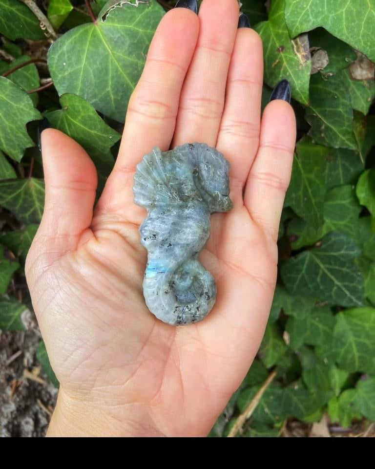 Labradorite Seahorse