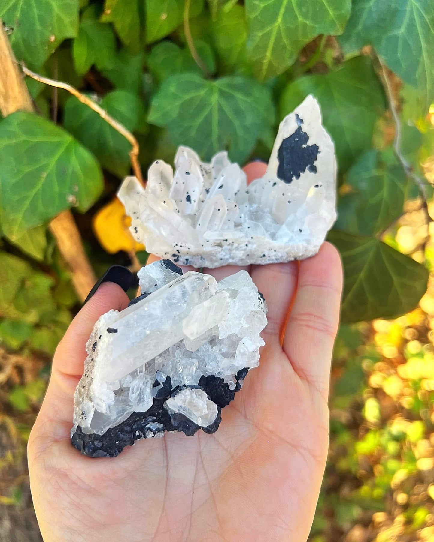 Tourmaline in Quartz Rough Rock