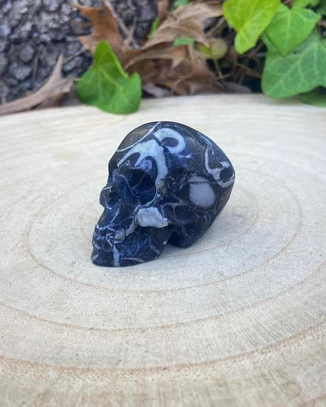 Zebra Jasper Skull