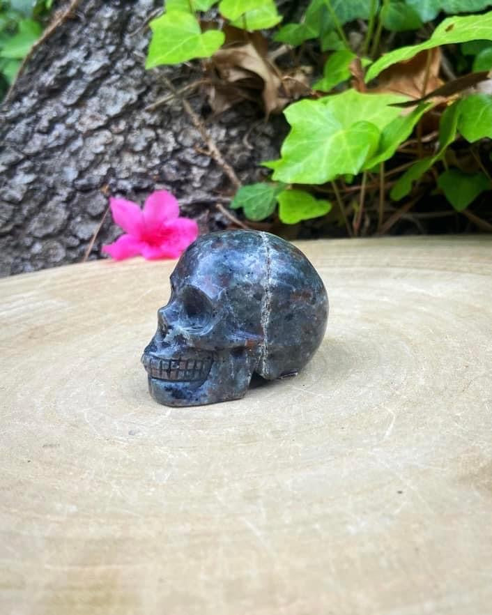 Yooperlite Skull