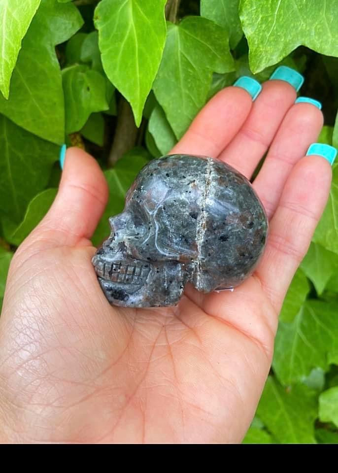 Yooperlite Skull