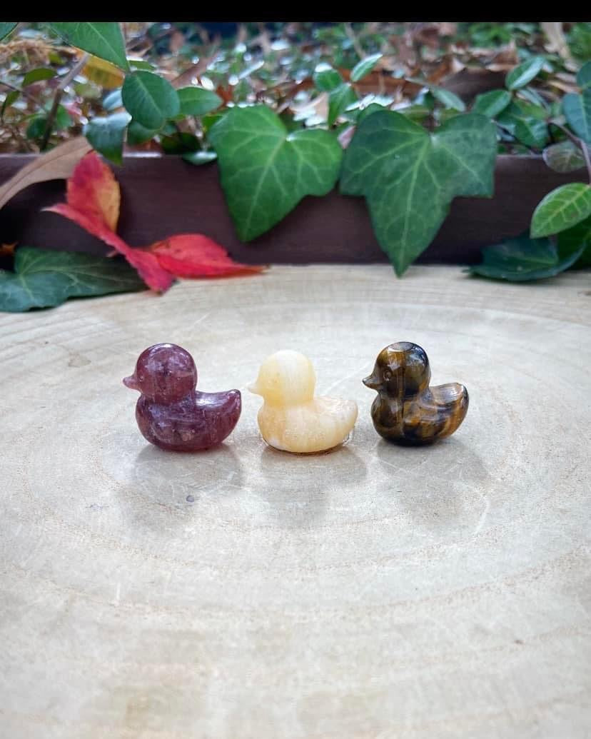 Crystal Ducks
