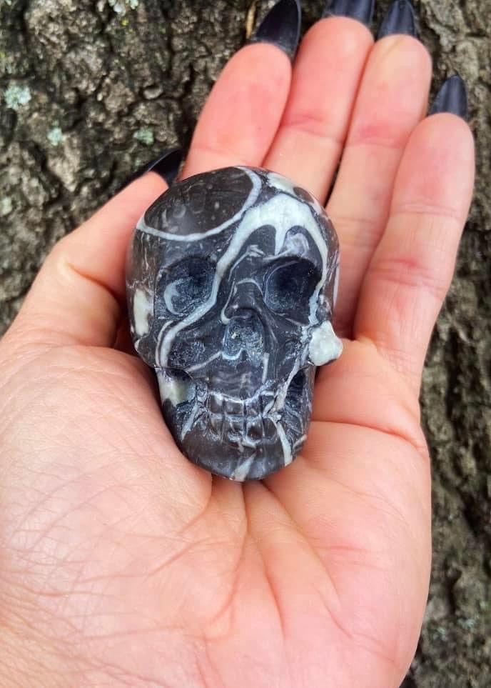 Zebra Jasper Skull