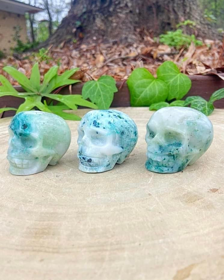 Phoenix Stone Skulls