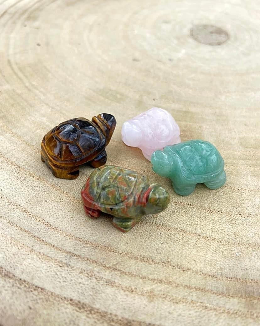 Mini Turtles
