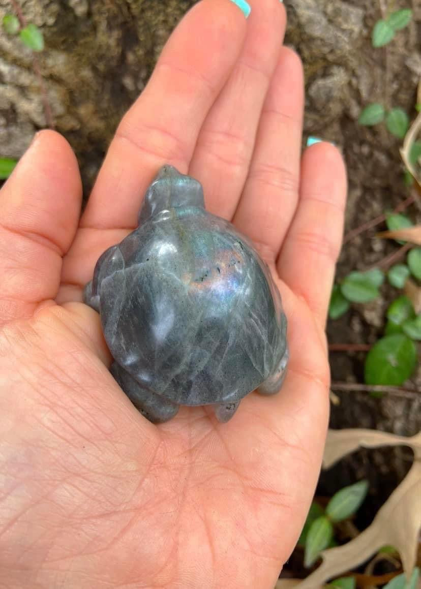 Labradorite Turtle