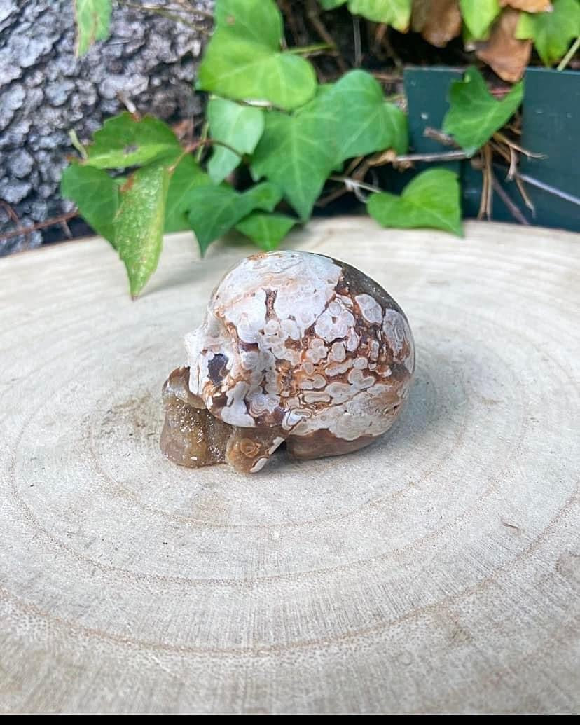 Agate Skull