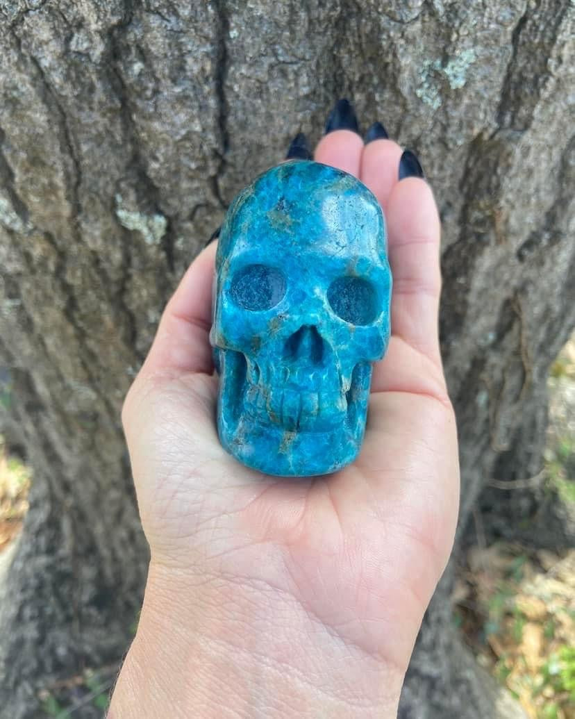 Blue Apatite Skull