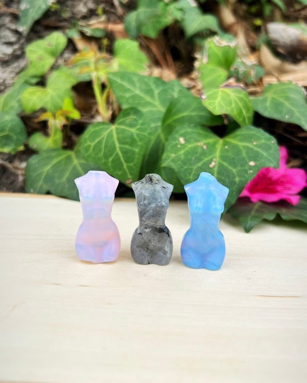 Female Torsos