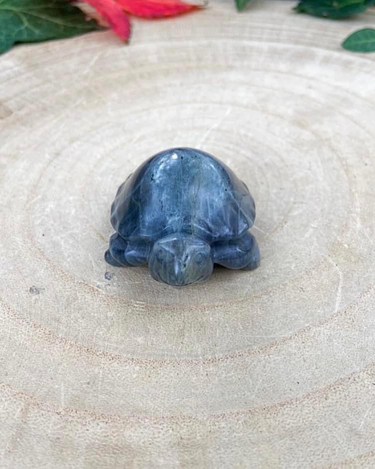 Labradorite Turtle