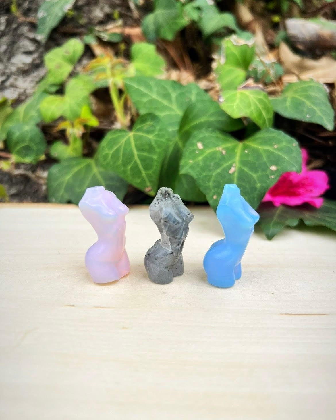 Female Torsos