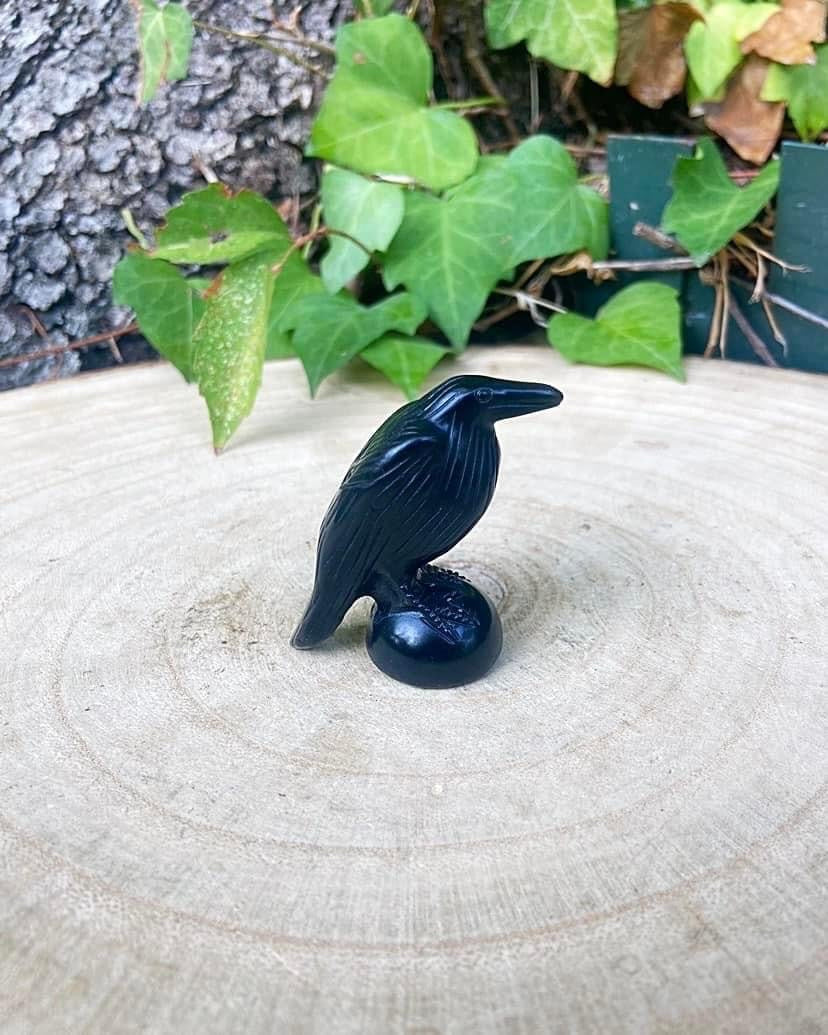 Black Obsidian Raven