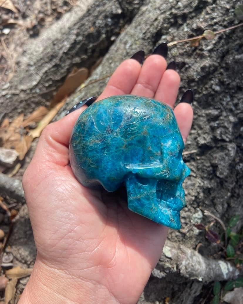 Blue Apatite Skull