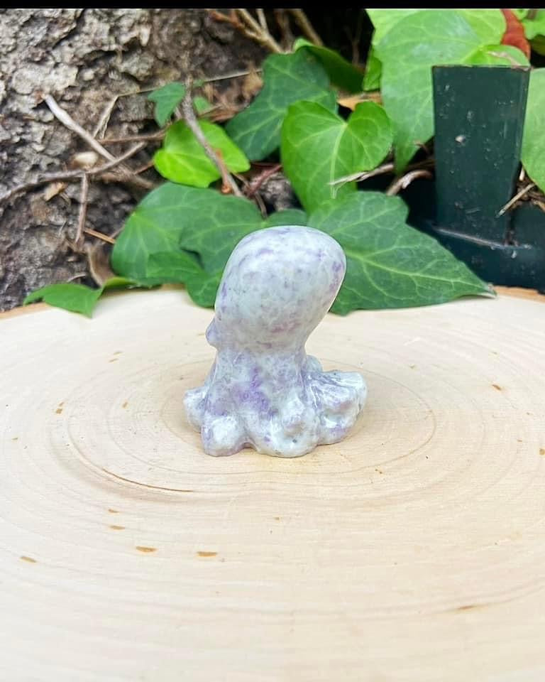 Jasper Stone Octopus