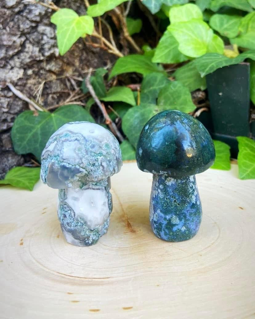 Moss Agate Mushrooms