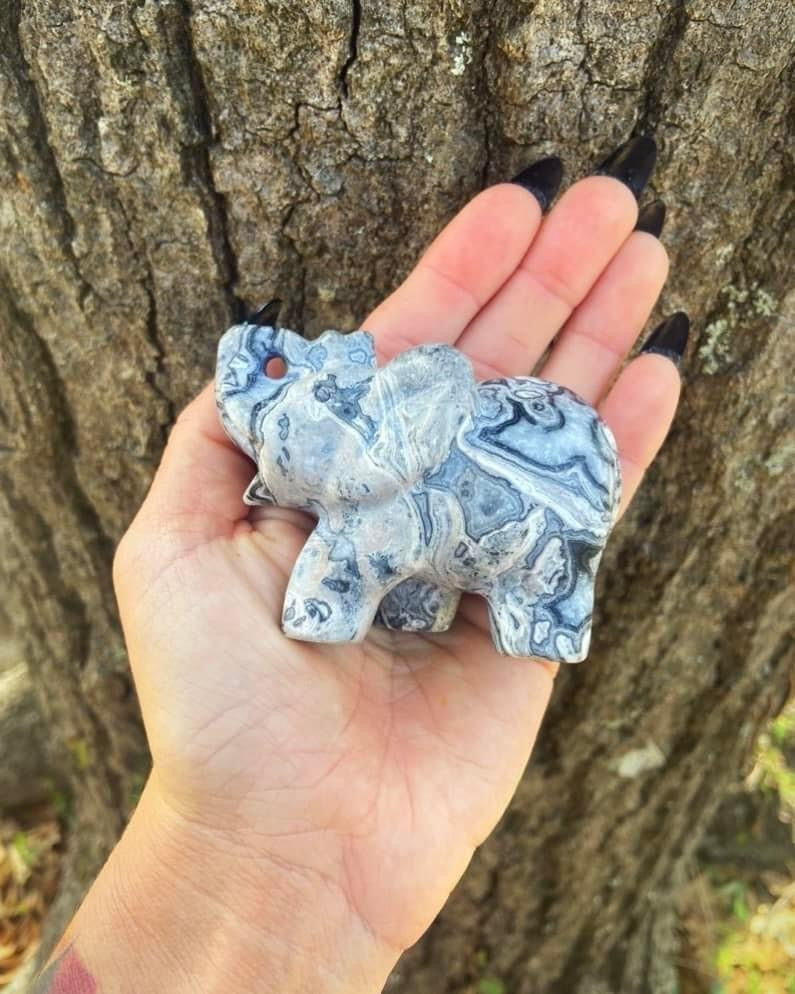 Picture Jasper Elephant