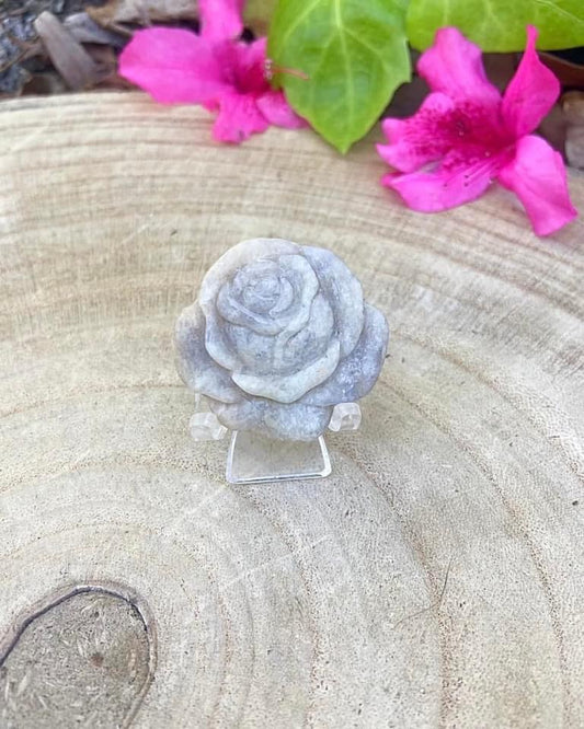 Moonstone Rose