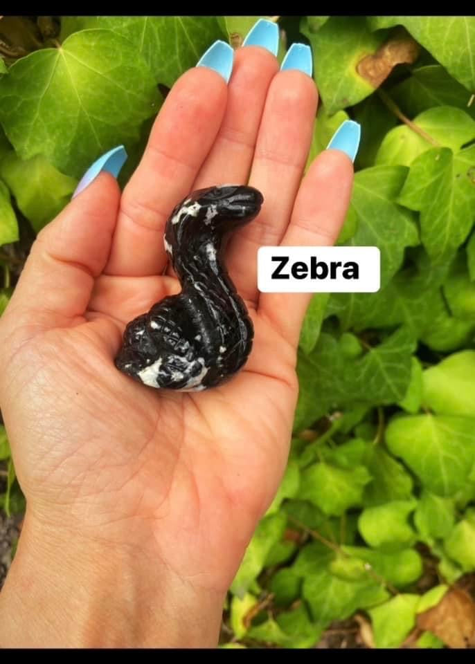 Cobra Snakes