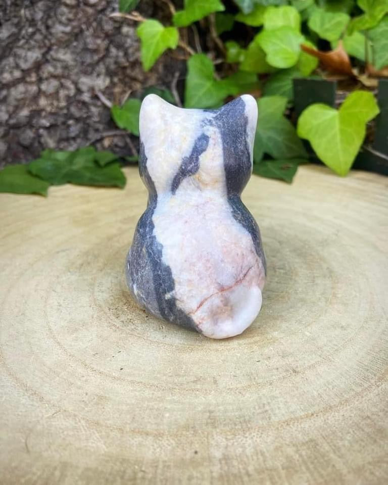 Pink Zebra Jasper Cat