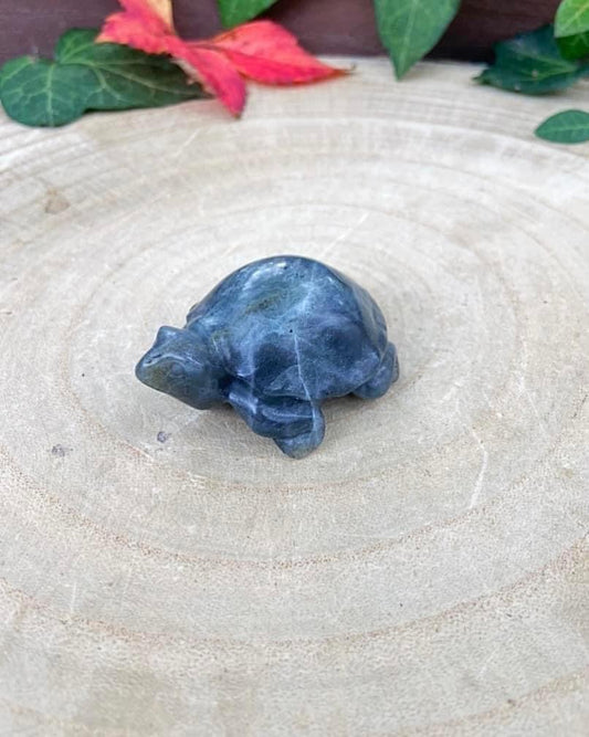 Labradorite Turtle