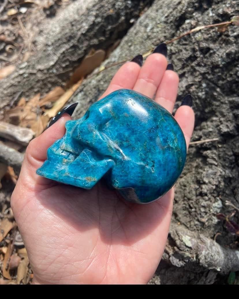 Blue Apatite Skull