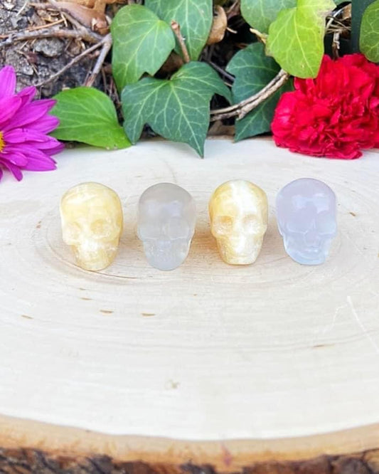 Mini Skulls