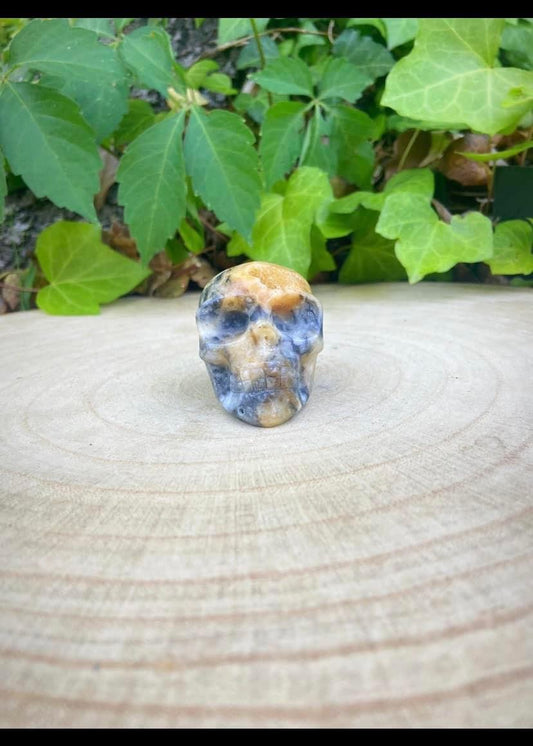 Jasper Skull