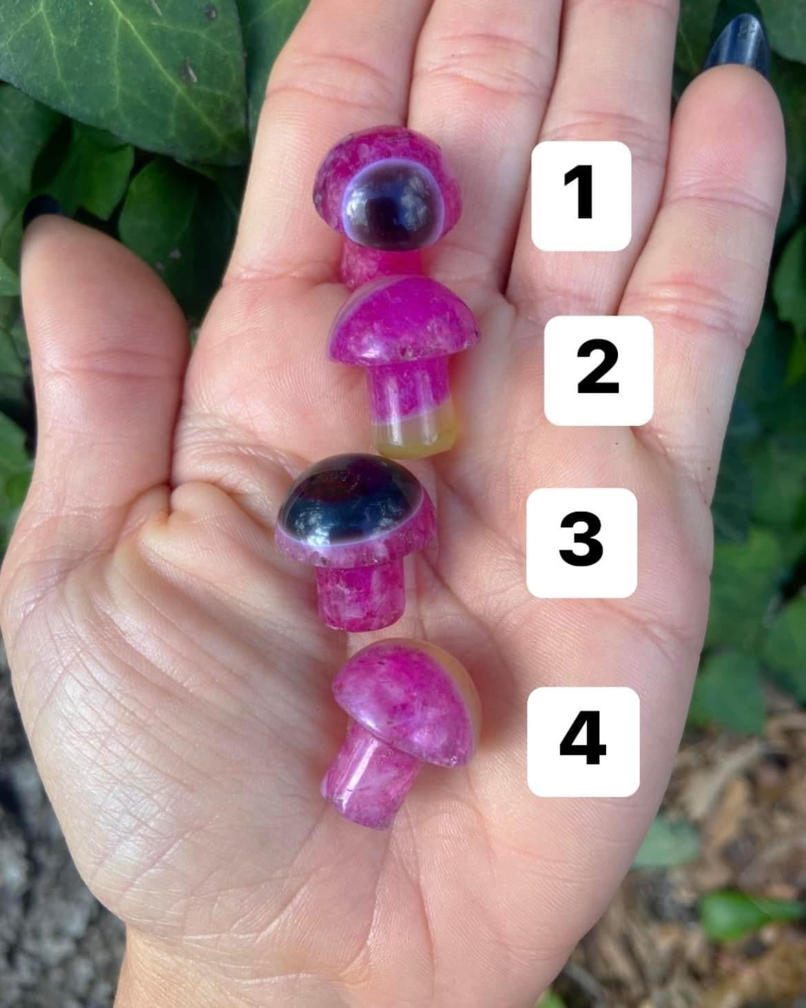 Dyed Agate Mushrooms