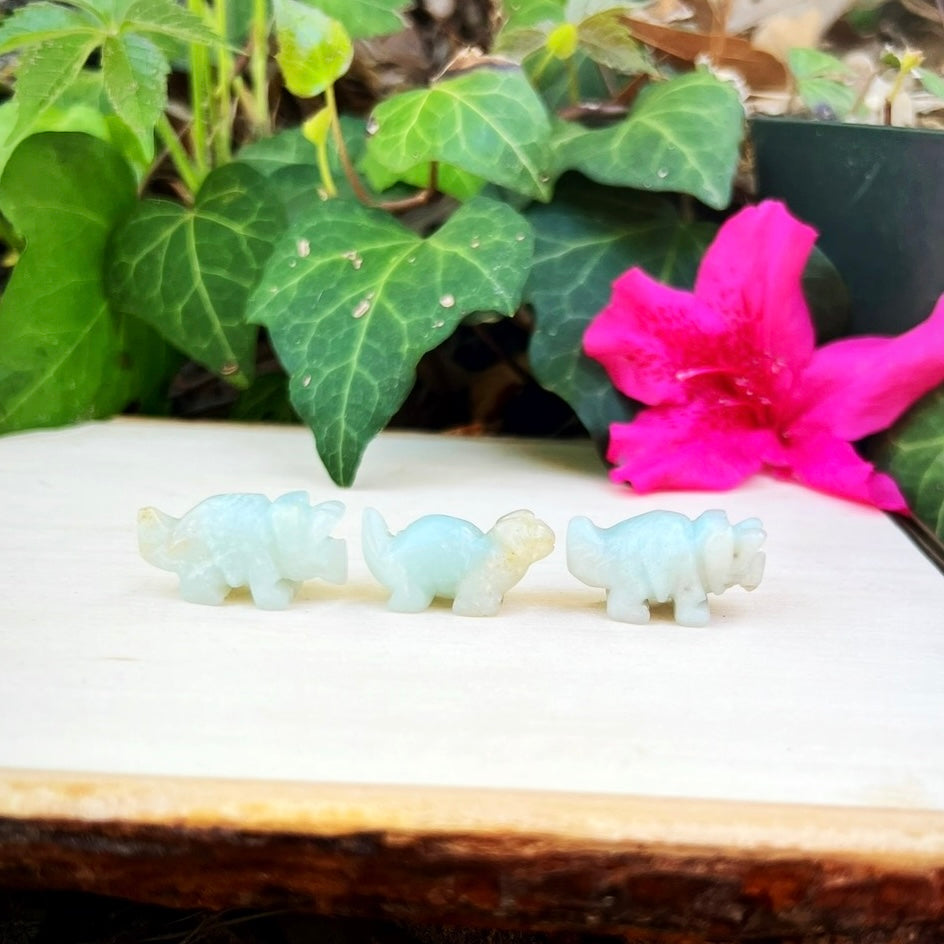Amazonite Dinos