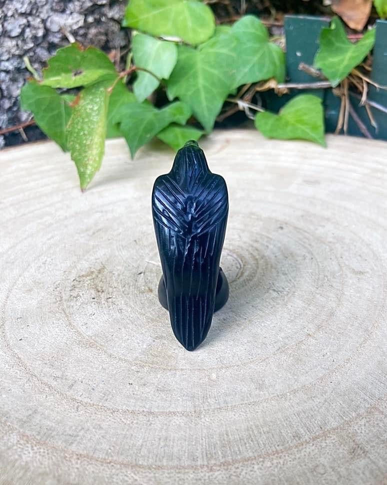 Black Obsidian Raven