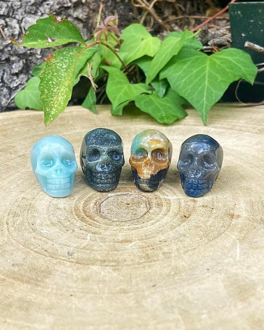 Skulls