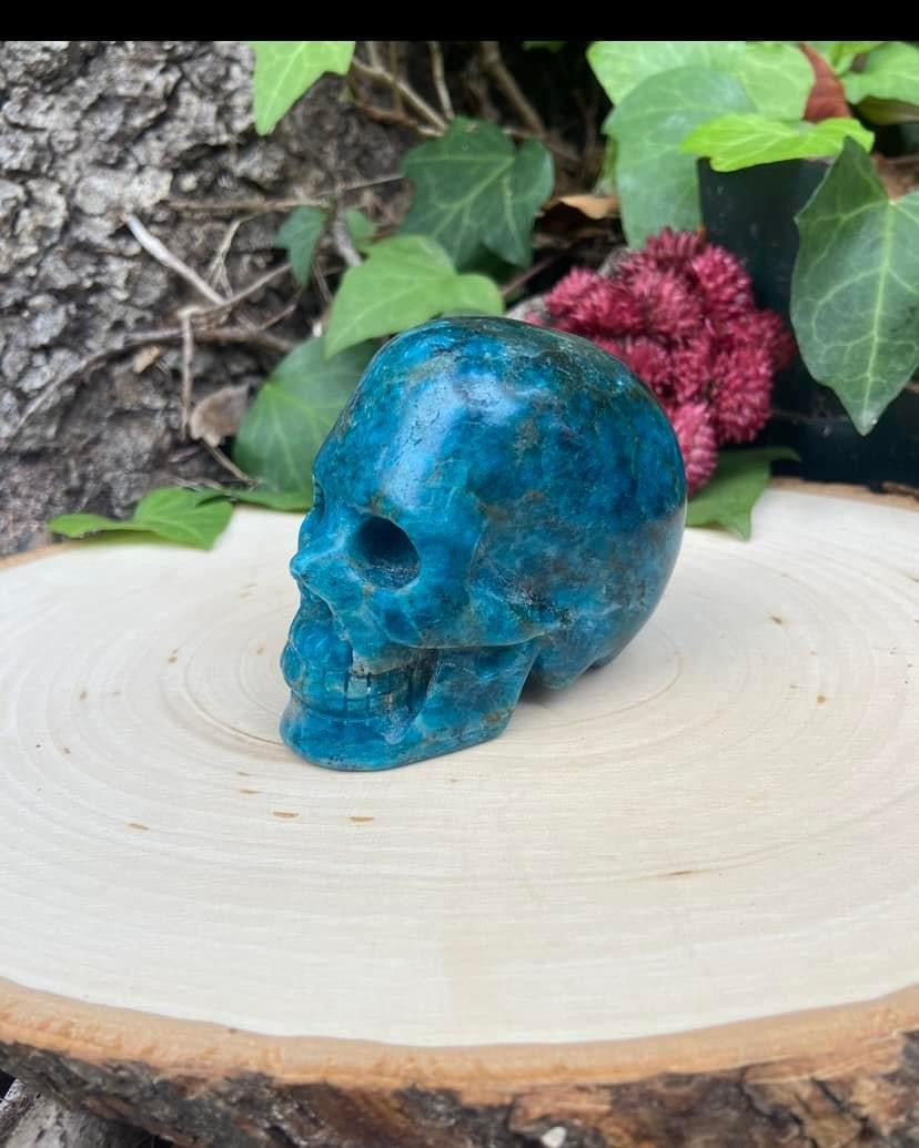 Blue Apatite Skull