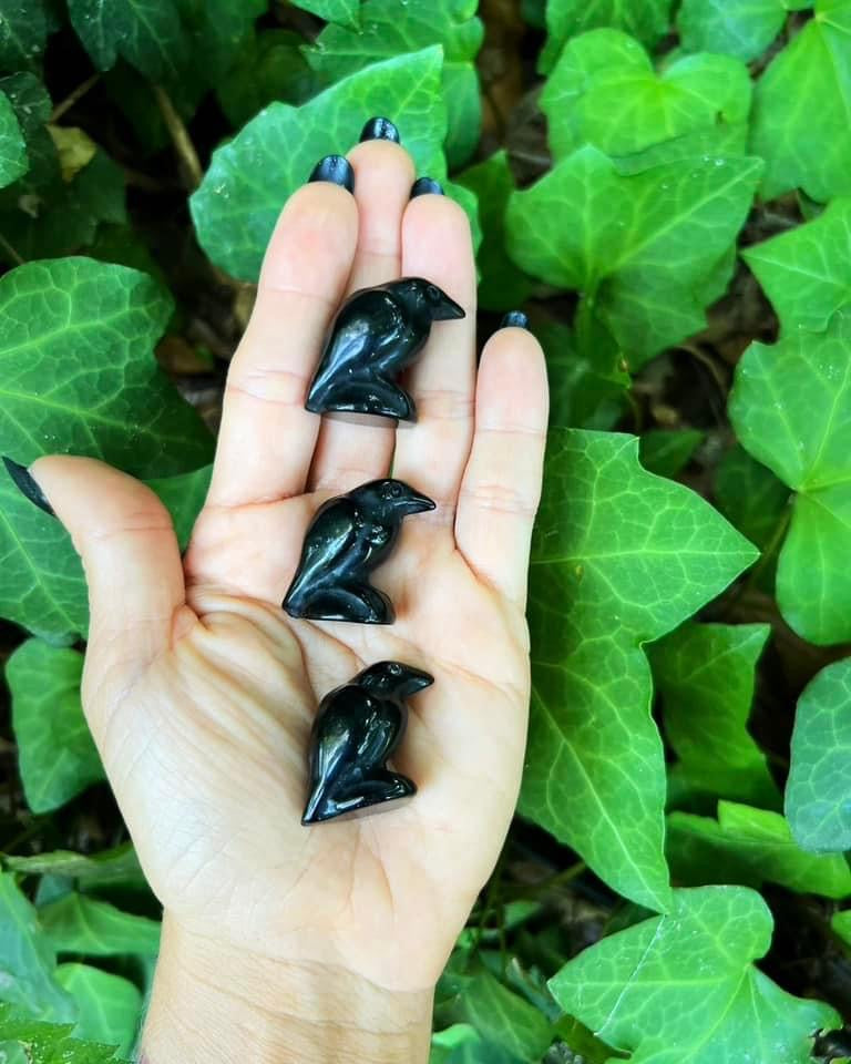 Black Obsidian Ravens