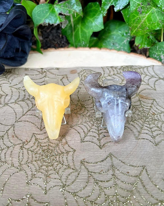 Horned Skulls