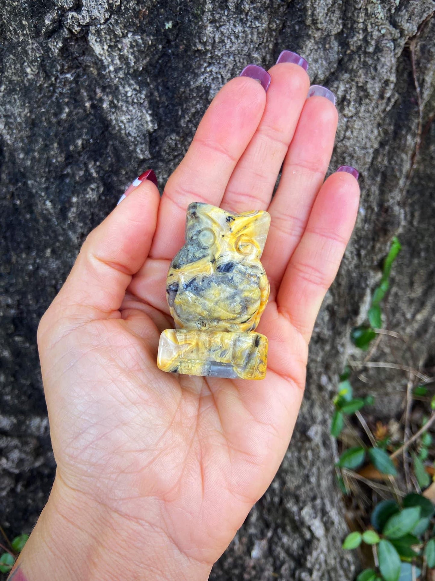 Crazy Lace Agate Owl