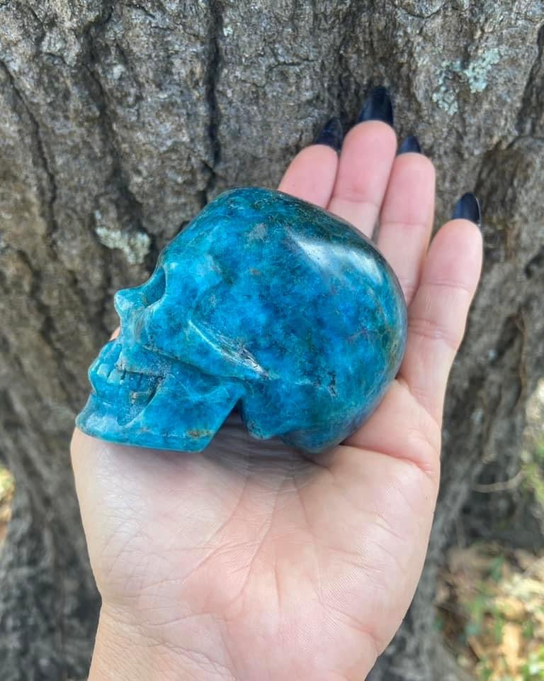 Blue Apatite Skull