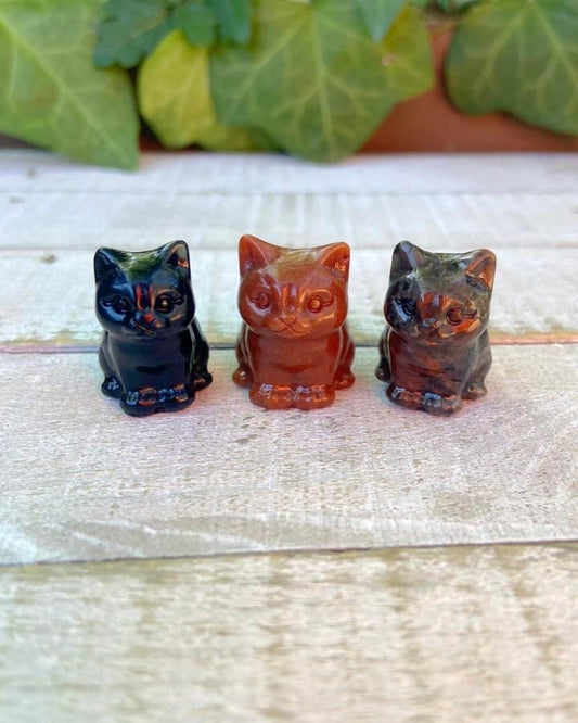 Mini Cats