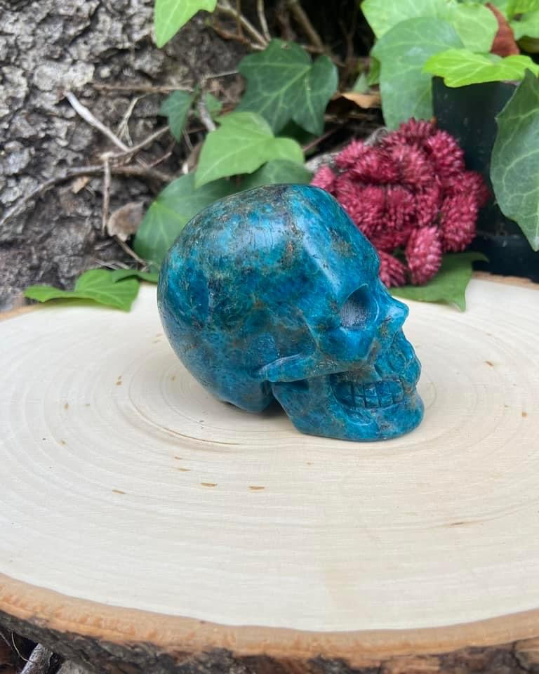 Blue Apatite Skull