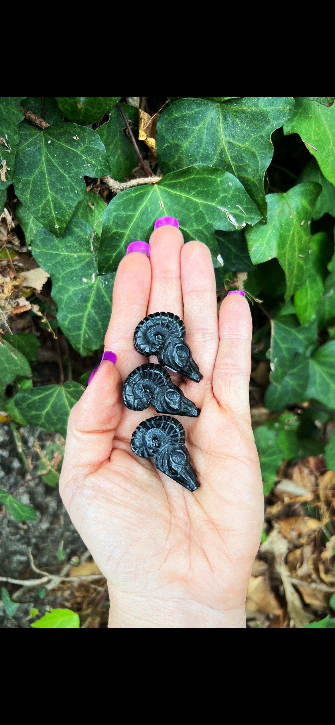 Black Obsidian Ram Heads
