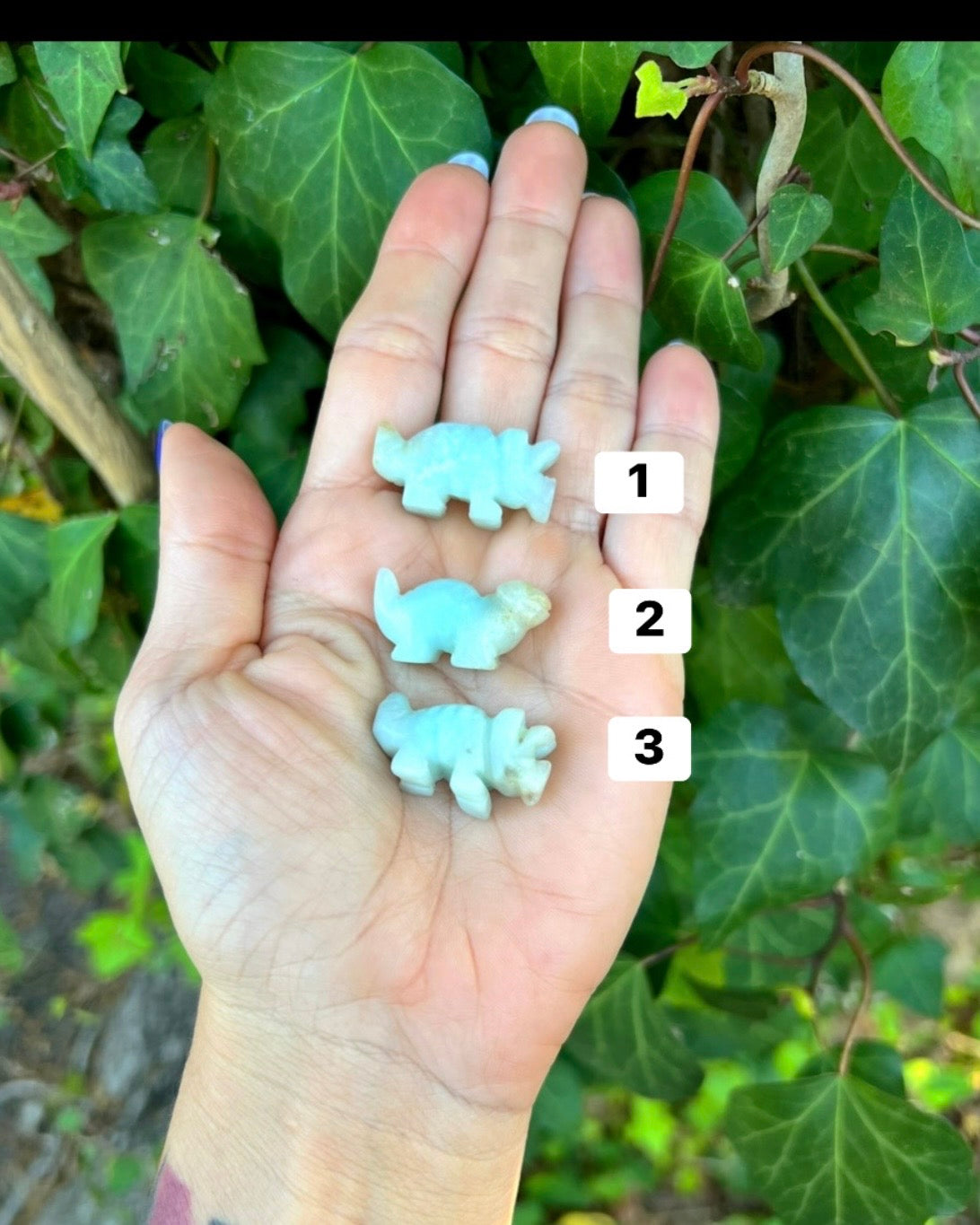 Amazonite Dinos