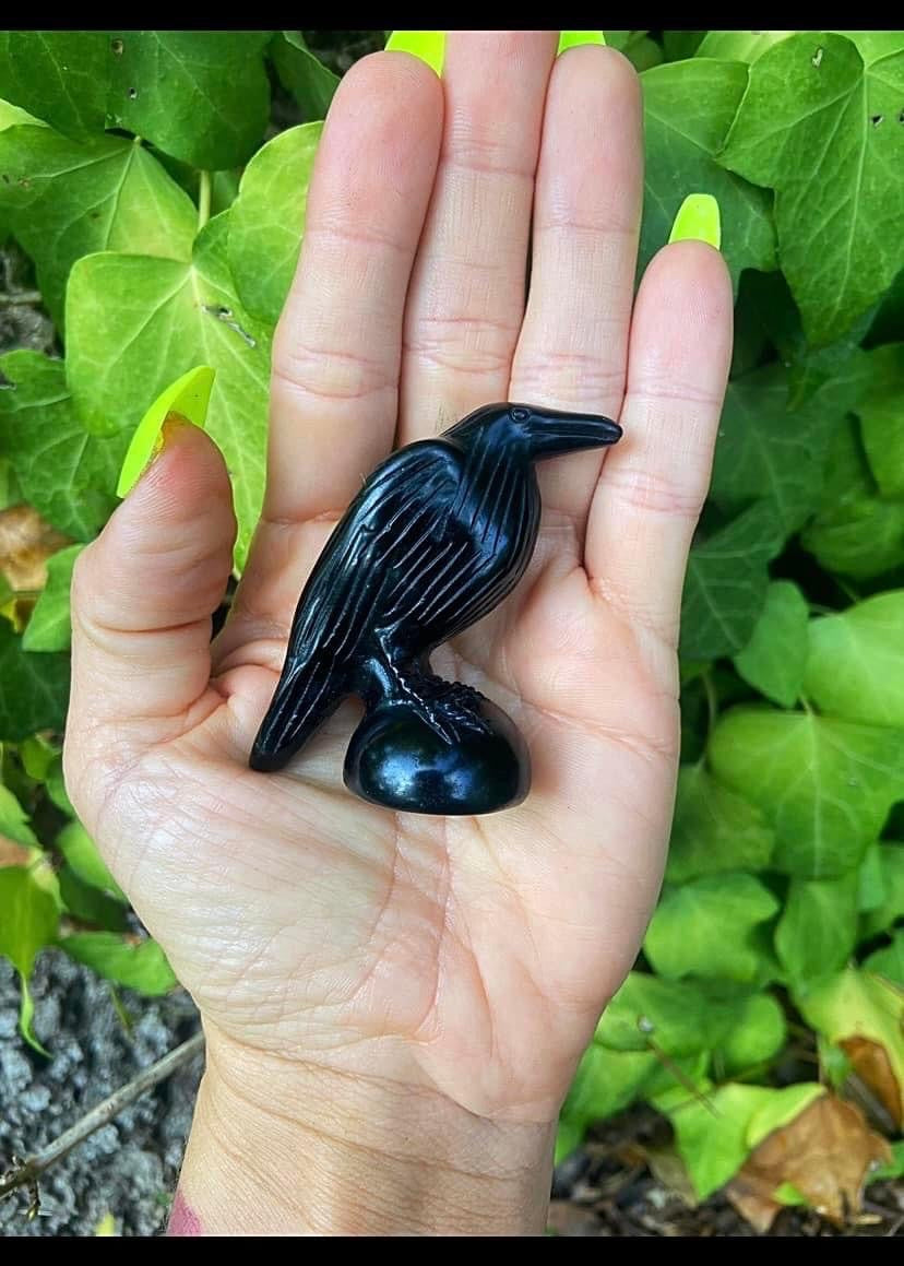 Black Obsidian Raven